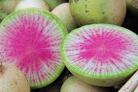Watermelon Radish Seeds for Planting - Unique Vegetable 100 Pcs pcs