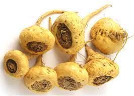 Maca Lepidium meyenii seeds for garden planting