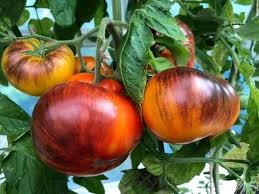 Brandywine Tomato Seeds for Planting, Red and Yellow, 100 Pcs pcs