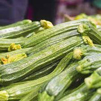 Costata Romanesco Zucchini Seeds for Planting – Heirloom and Non-GMO Garden Seeds
