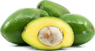 Choquette Avocado Fruit Seeds for Planting and Growing Butter Fruit at your Home Backyard Orchid