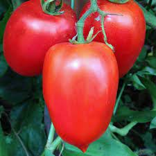 Amish Paste Tomato Vegetable Seeds for Planting - Heirloom & Non-GMO Garden Seeds