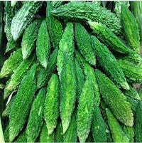 Indian Bitter Gourd Seeds for Planting, 100 Pcs pcs