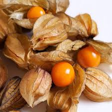 Ground Cherries Vegetable Seeds for Planting - 100 Pcs pcs