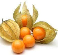 Physalis Fruit Seeds for Growing Tangy and Nutrient-Rich Berries 100 Pcs pcs