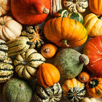 Heirloom Pumpkin Seeds for Home Garden and Seasonal Harvest
