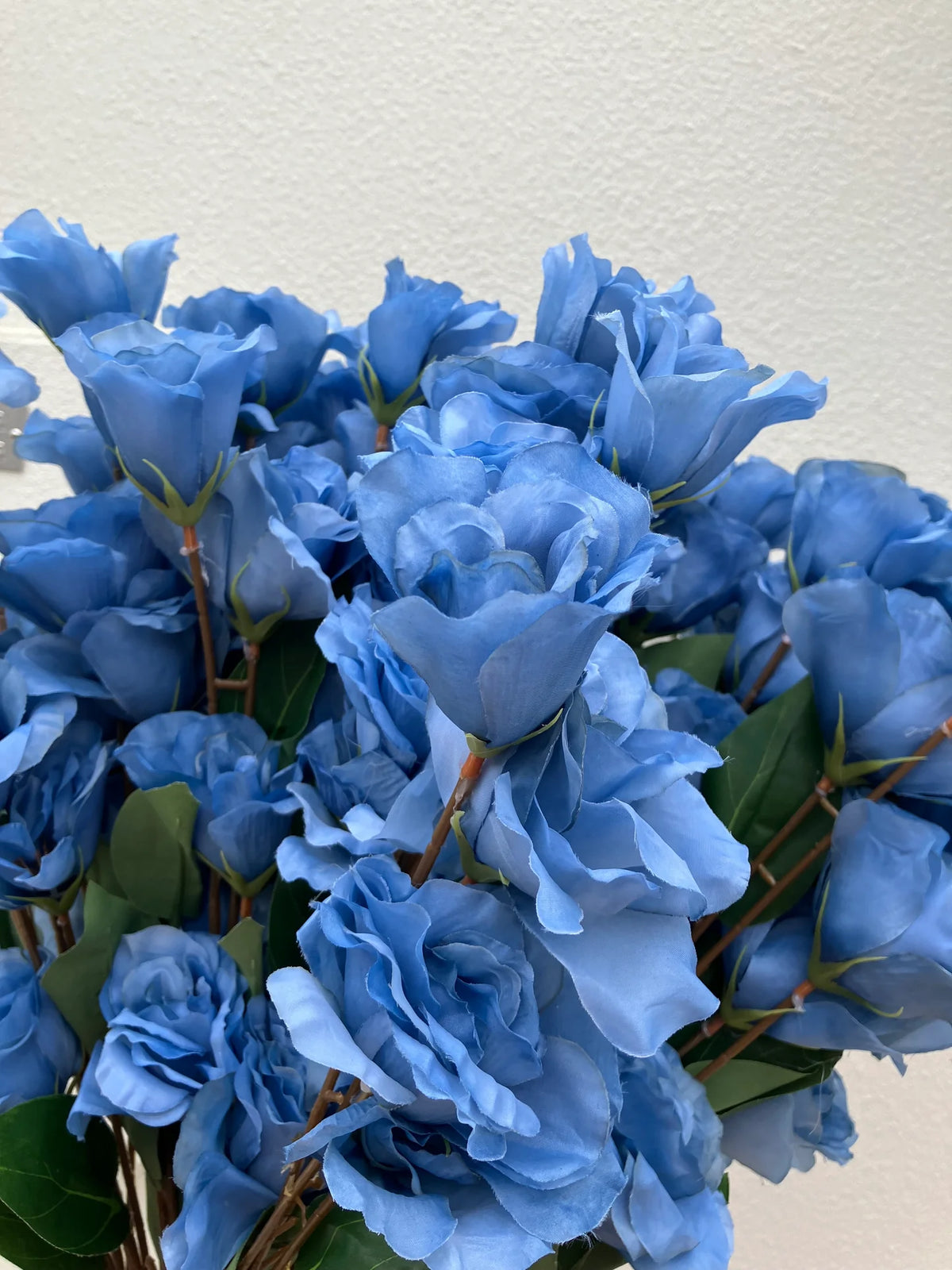 Silk Blue Lisianthus Flower Seeds for Planting - Heirloom, NON-GMO Seeds - Easy Grow Garden Blooms