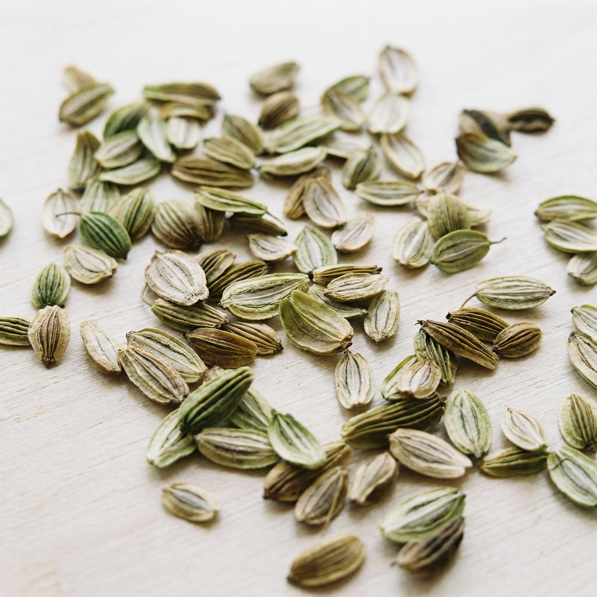 Fresh Tomorrow Leaf Seeds (Ashitaba Seeds) -NON -GMO- High Germination