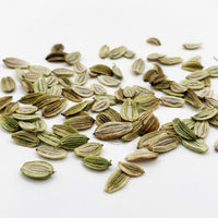 Angelica keiskei Ashitaba Planting Seeds
