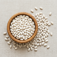Heirloom White Tepary Bean Seeds – Non-GMO Organic Seeds for Planting, Suitable for Dry Climate Gardens