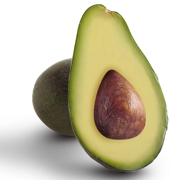 Fuerte Avocado Fruit Seeds for Planting – Heirloom, Non-GMO Seeds for Tropical Gardens & Creamy Green Fruits