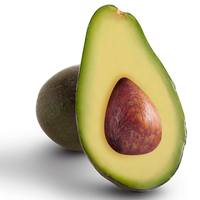 Fuerte Avocado Fruit Seeds for Planting – Heirloom, Non-GMO Seeds for Tropical Gardens & Creamy Green Fruits