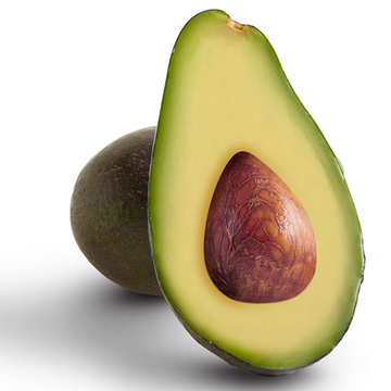 Fuerte avocado Persea americana seeds for creamy fruit garden