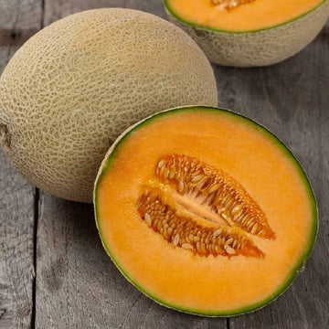 Hales Best Jumbo Melon Seeds for Home Garden Planting