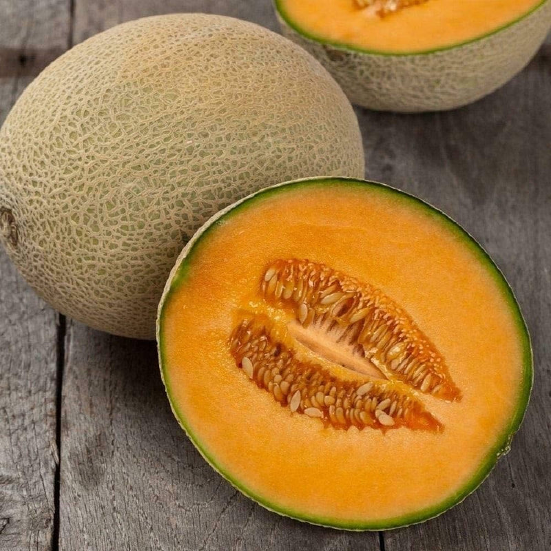 Hales Best Jumbo Melon Seeds for Home Garden Planting