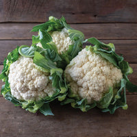 Healthy Easy Growing Cauliflower plants growing in a vegetable garden