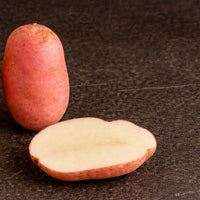 Heirloom Sarpo Mira potato seeds suitable for kitchen gardens and containers.
