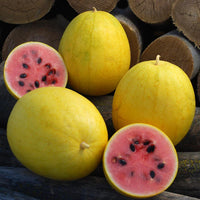 Golden Midget Watermelon Fruit Seeds