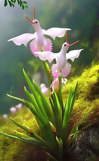 Taube Reiher Flower Seeds for Planting - 100 pcs for planting in your garden.