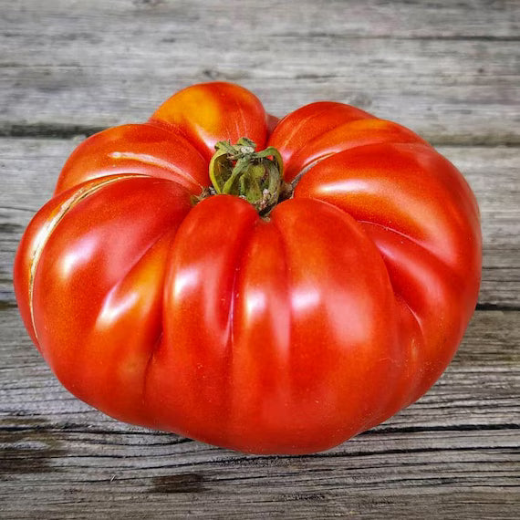 Giant Tomato Vegetable Seeds for Planting - Heirloom and Non-GMO Garden Seeds