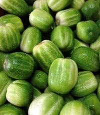 Richmond Green Cucumber Vegetable Seeds for Planting – Heirloom & Non-GMO Seeds – Crisp & Productive