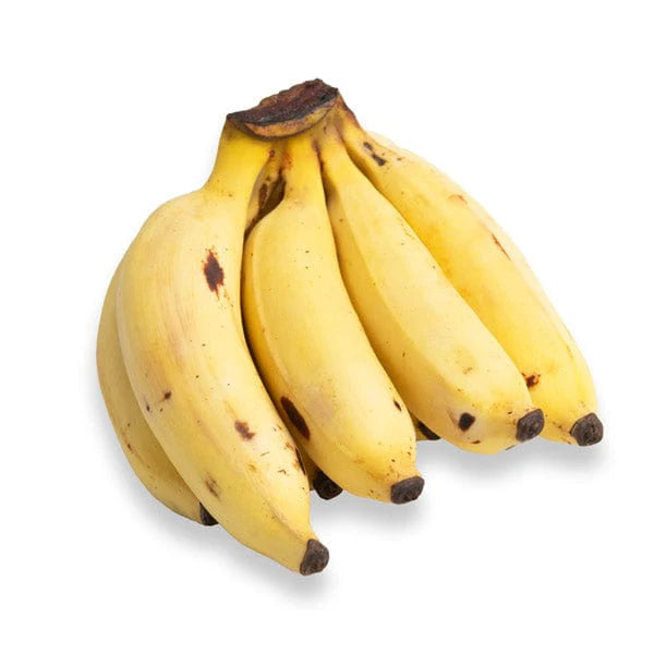 Manzano banana Musa paradisiaca seeds for tropical harvest