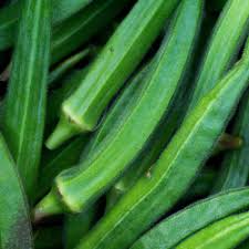 Okra Vegetable Seeds for Planting – Lush Green Variety NON GMO Seeds