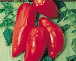 Opalka Tomato Vegetable Seeds for Planting – Heirloom and Non-GMO Garden Seeds
