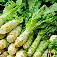 Asparagus Lettuce Celtuce Seeds for Planting heirloom & Non-GMO Seeds