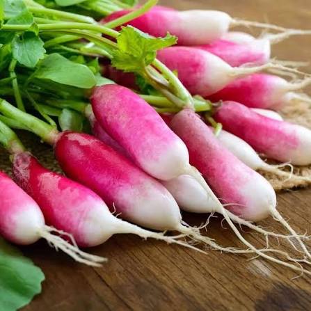 French Breakfast Radish Seeds for Planting heirloom & Non-GMO Seeds
