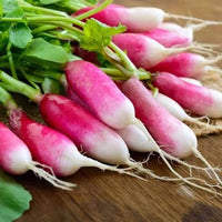 French Breakfast Radish Seeds for Planting heirloom & Non-GMO Seeds