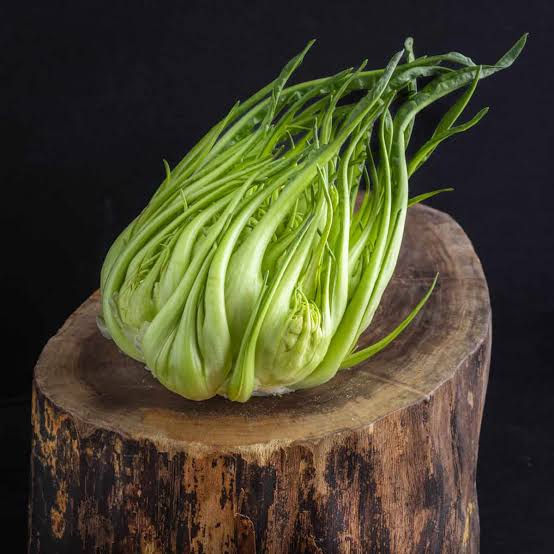 Puntarelle or Asparagus Chicory Plant Seeds for Planting - Heirloom Vegetable Seeds for Home Garden