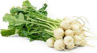 Baby Turnip Brassica rapa seeds for garden planting