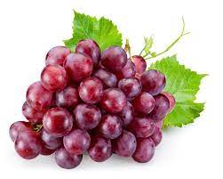 Ruby seedless grapes fruit seeds for vines