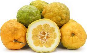 Giant Rough Lemon citrus seeds for planting in home garden