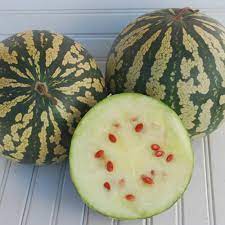Citron Red Watermelon Citrullus lanatus seeds for planting in home garden