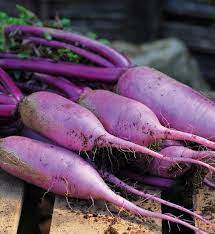 Bluemoon Radish Vegetable Seeds for Planting – heirloom & Non GMO Seeds