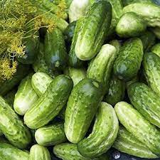 Boston Pickling Cucumber Seeds for Planting - heirloom & Non-GMO Seeds