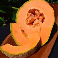 Ambrosia Cantaloupe Cucumis melo var. reticulatus 'Ambrosia' Fruit Seeds for Planting