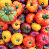 Heirloom Big Mixed Tomato Vegetable Seeds for Planting - Non-GMO Garden Seeds