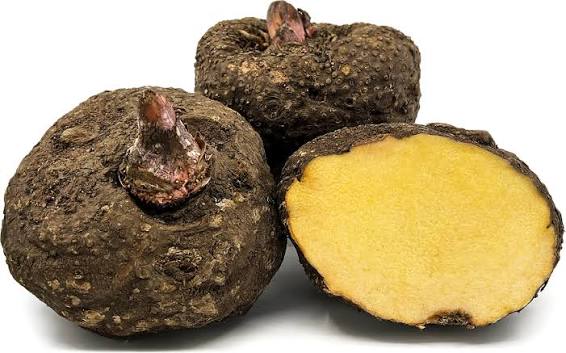 Elephant Foot Yam Plant Seeds for Planting - NON GMO Seeds