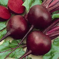 Red Beet Root Seeds for Planting - Healthy Vegetable - heirloom & Non GMO Seeds