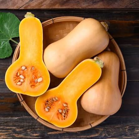 Mini Butternut Squash Seeds for Home Garden Planting | Heirloom Non-GMO