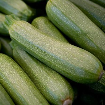 Grey Zucchini Squash Vegetable Seeds for Planting - heirloom & Non-GMO Garden Seeds