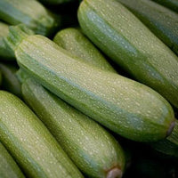 Grey Zucchini Squash Vegetable Seeds for Planting - heirloom & Non-GMO Garden Seeds