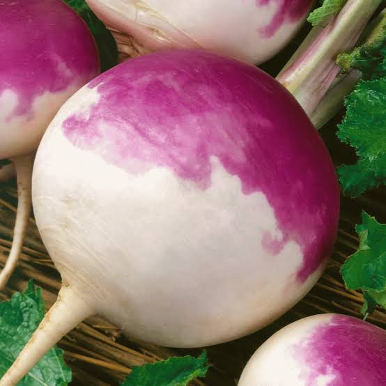 Purple Top White Globe Turnip Seeds for Home Garden Planting | Heirloom Non-GMO