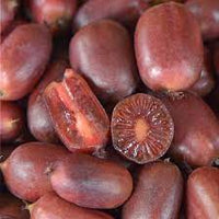 Scarlet Kiwi Fruit Seeds for Planting – Exotic Red-Fleshed Kiwi, Berry-Like Taste, Heirloom Seeds