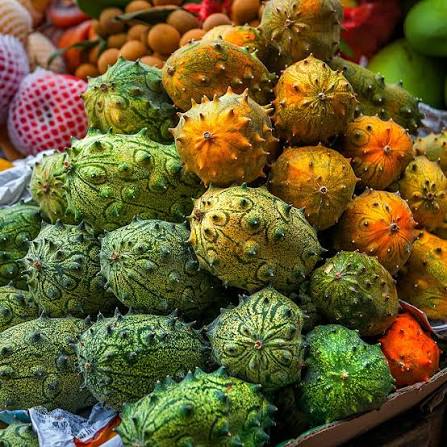 African Horned Cucumber Vegetable Seeds for Planting – Heirloom & Non-GMO Garden Seeds
