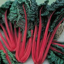 Red Swiss Chard Vegetable Seeds for Planting heirloom & Non-GMO Seeds