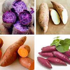 Mixed Sweet Potato Vegetable Seeds for Planting – Heirloom, Non-GMO, High-Yielding Varieties